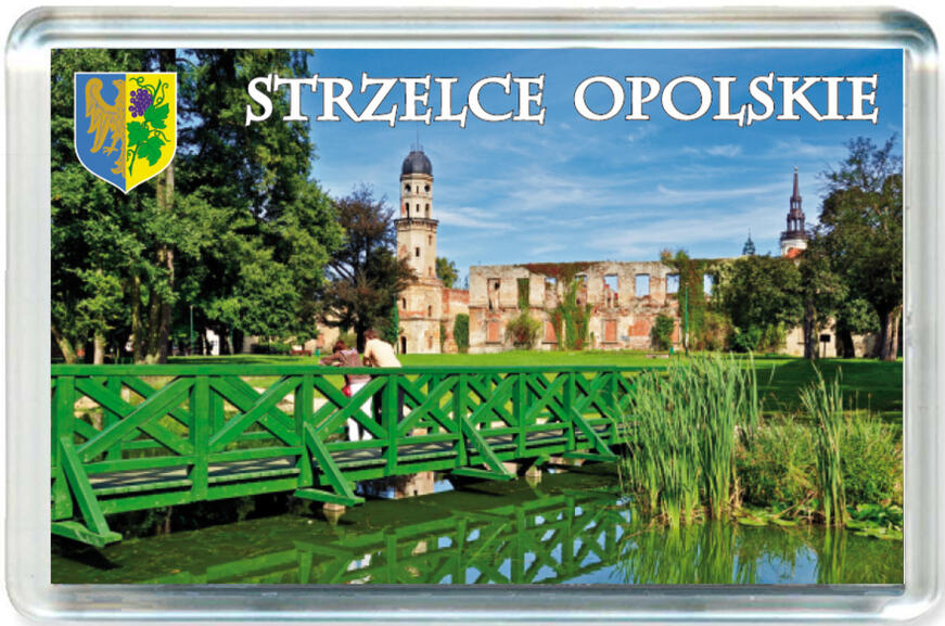Magnes Strzelce Opolskie 0070