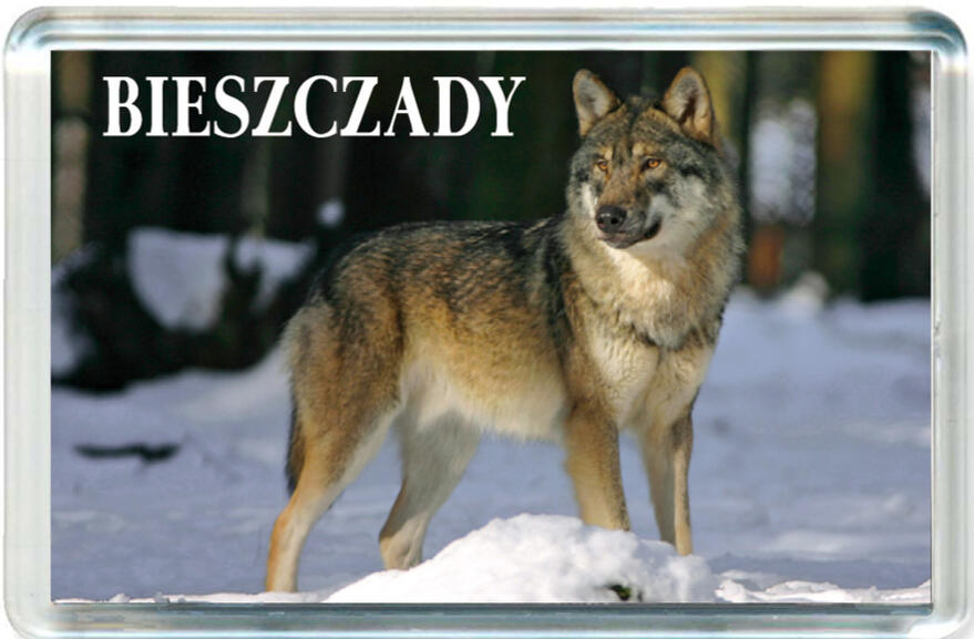 Magnes Bieszczady 0894