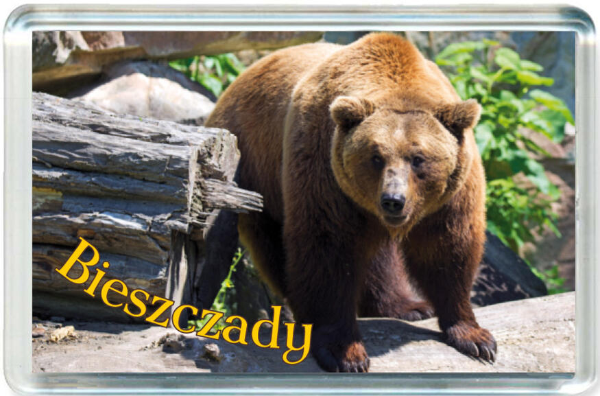 Magnes Bieszczady 1123