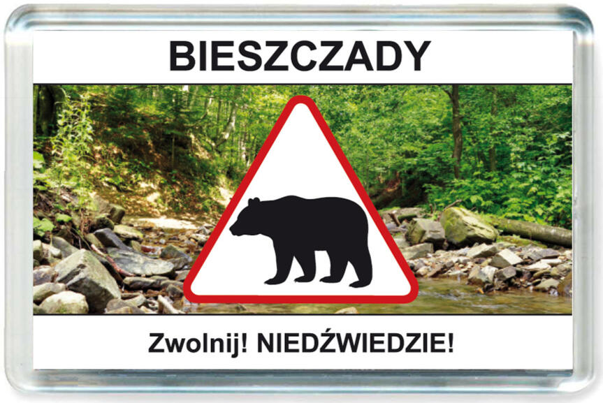 Magnes Bieszczady 0075