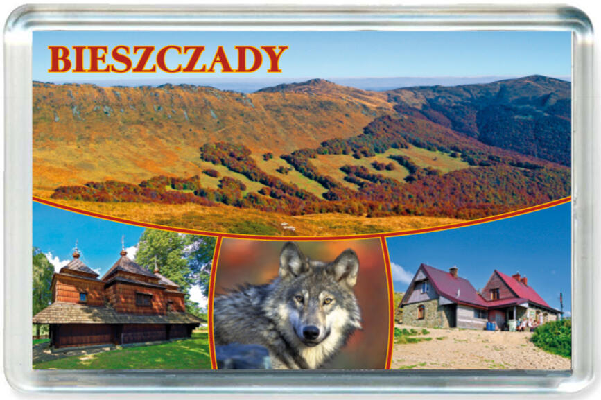 Magnes Bieszczady 0890