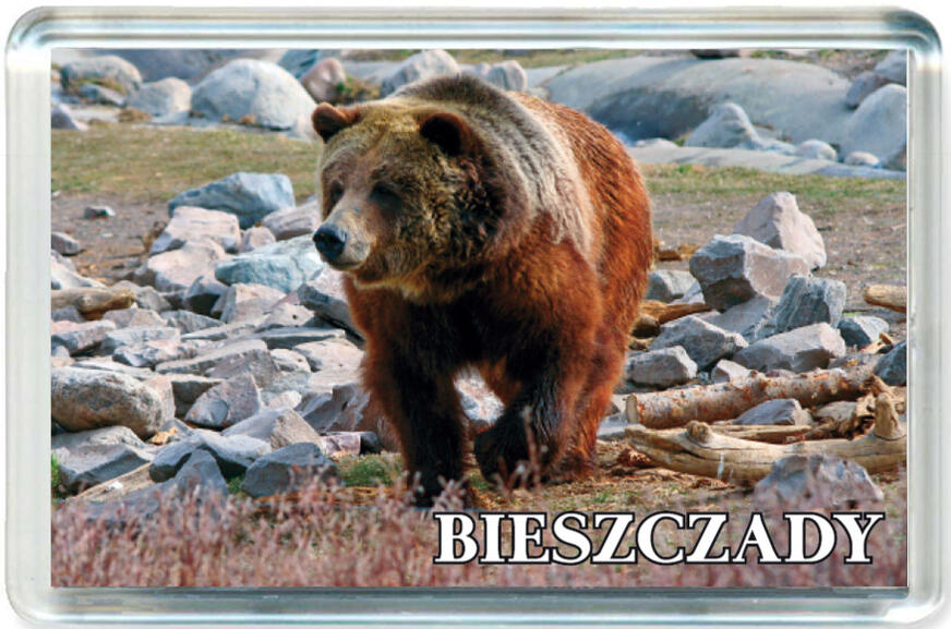 Magnes Bieszczady 0895