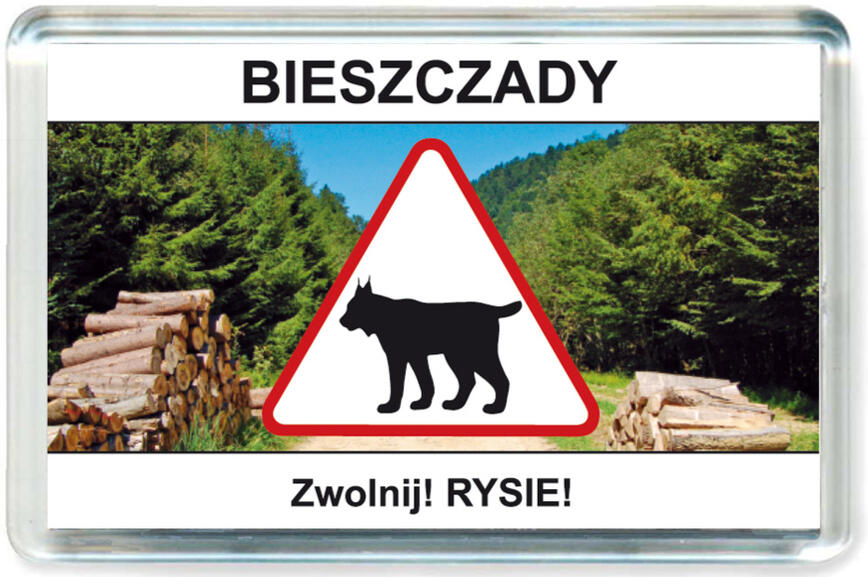Magnes Bieszczady 0074