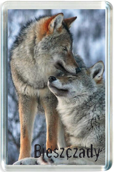 Magnes Bieszczady 1122