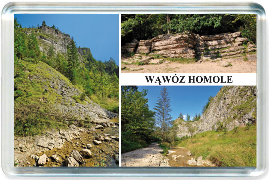 Magnes Pieniny 0746