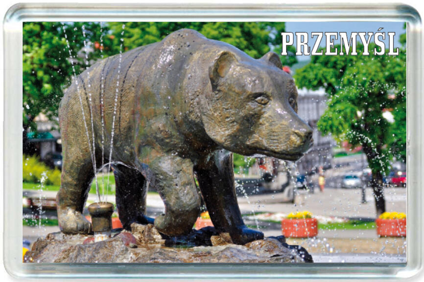 Magnes Przemyśl 0410