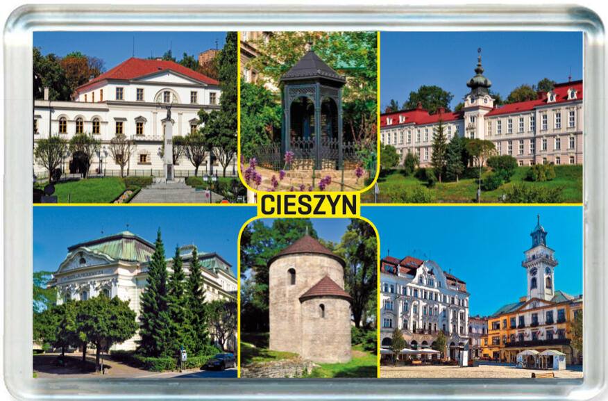 Magnes Cieszyn 1309