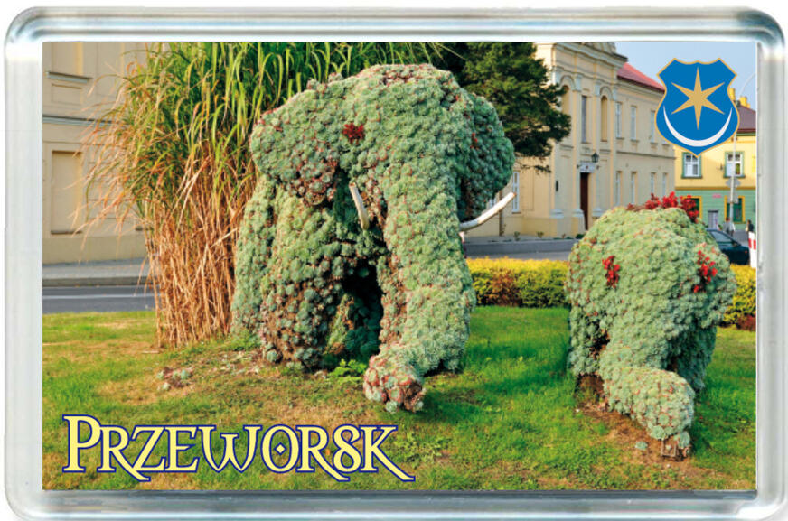 Magnes Przeworsk 0057