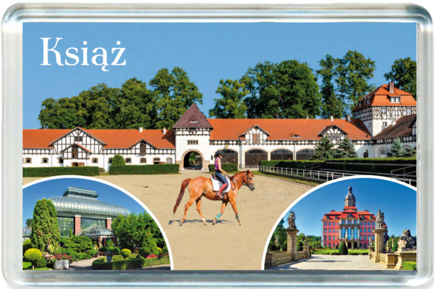 Magnes Wałbrzych 1307