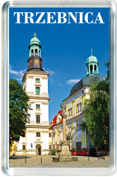 Magnes Trzebnica 0855