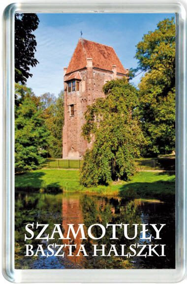 Magnes Zamek w Szamotułach 0002