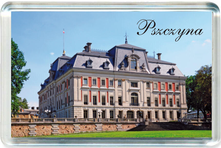 Magnes Zamek w Pszczynie 0160