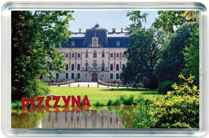 Magnes Zamek w Pszczynie 0157