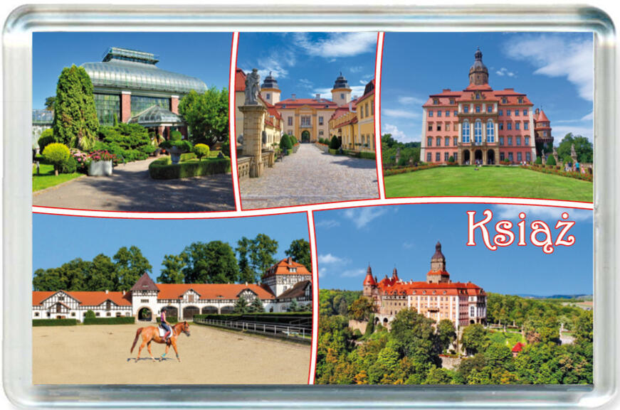 Magnes Zmek Książ 1305