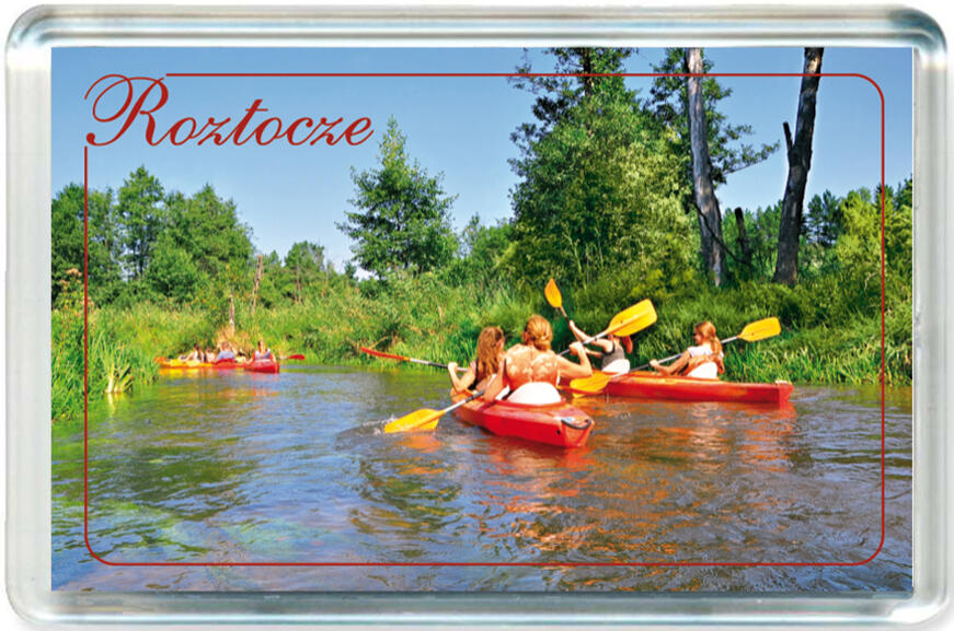 Magnes Roztocze 1147