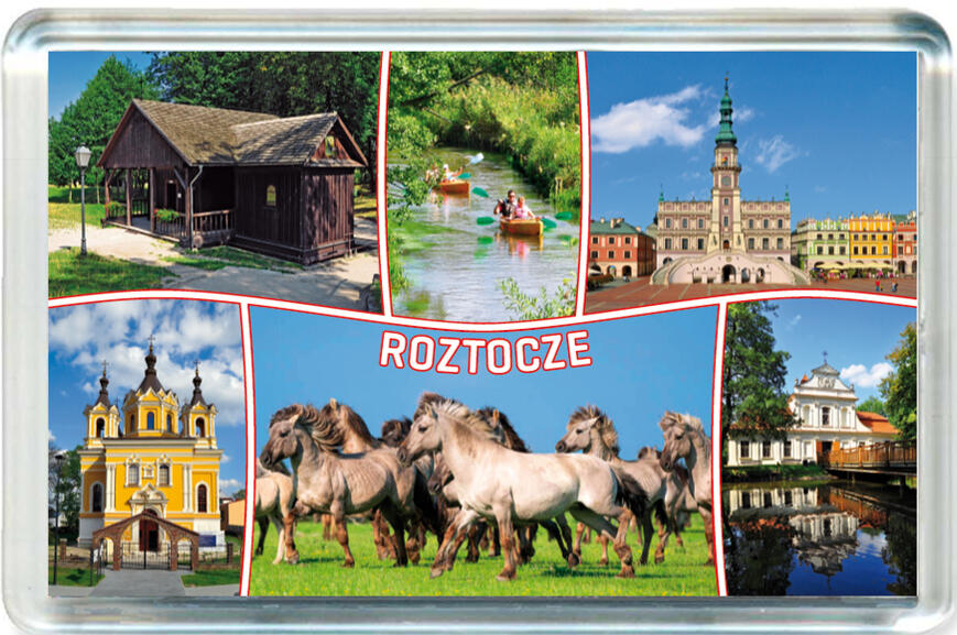 Magnes Roztocze 1223