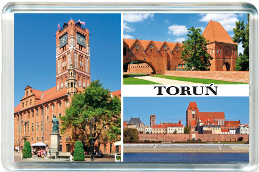 Magnes Toruń 0941