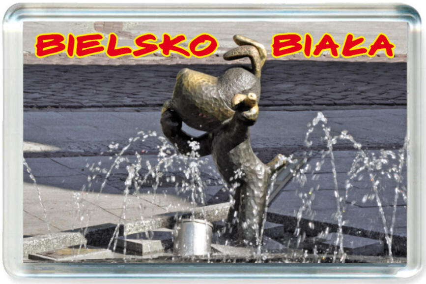 Magnes Bielsko-Biała 0186