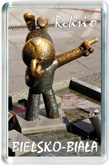 Magnes Bielsko-Biała 0187