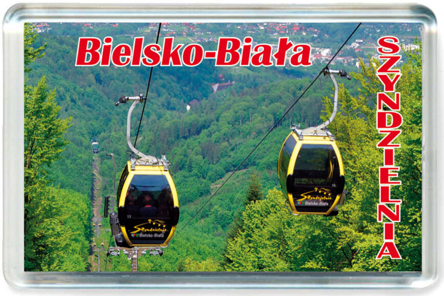 Magnes Bielsko-Biała 0131