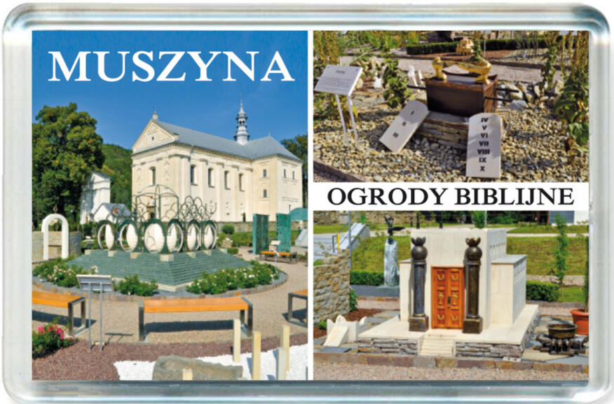 Magnes Muszyna 0658