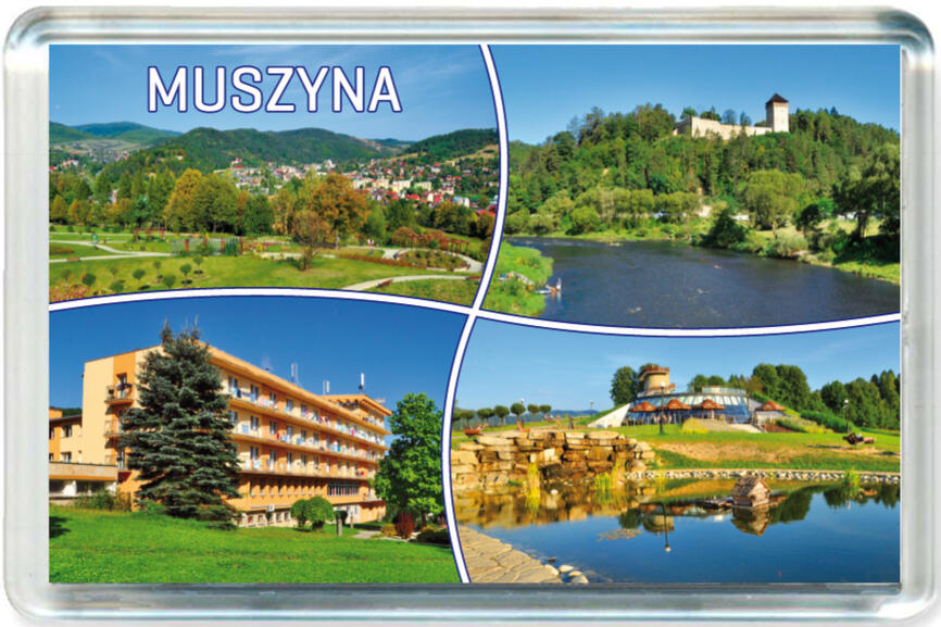 Magnes Muszyna 1480