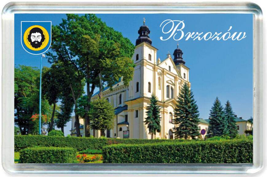 Magnes Brzozów 0012