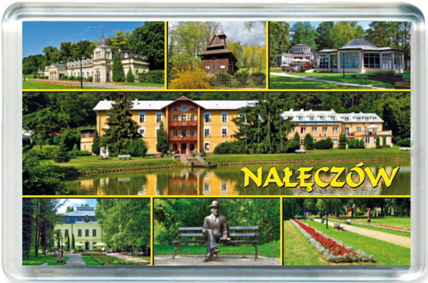 Magnes Nałęczów 0904