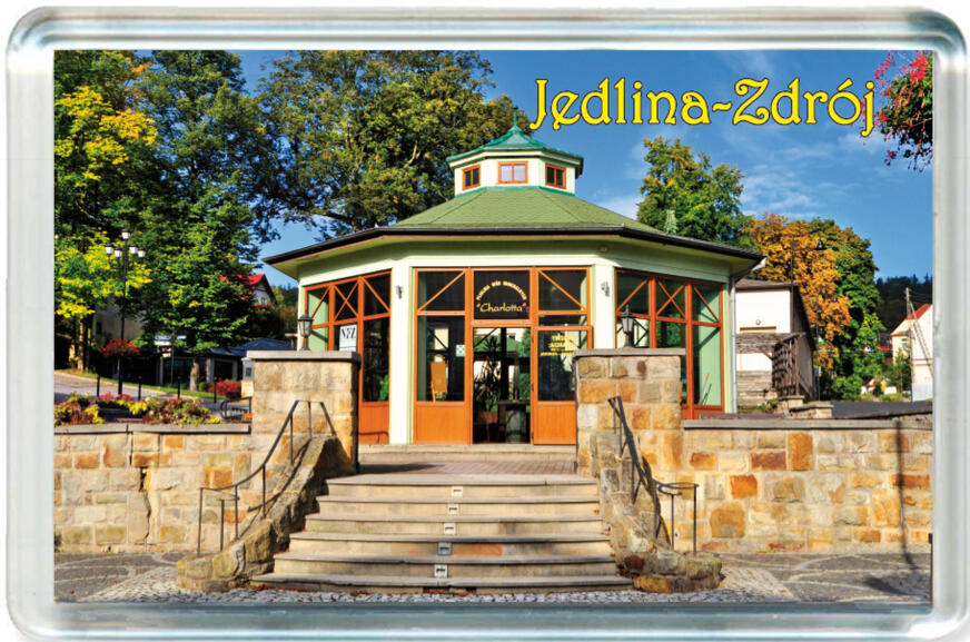 Magnes Jedlina-Zdrój 1101