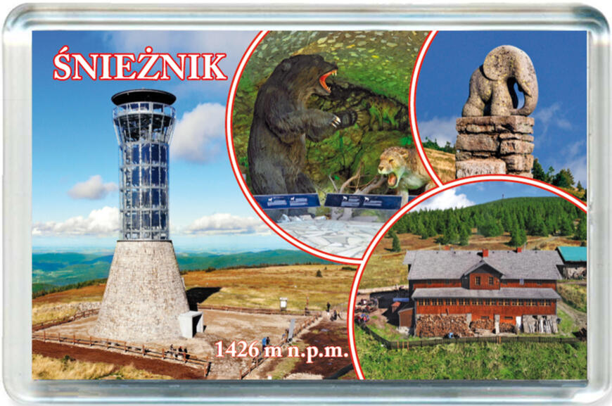 Magnes Międzygórze 1243