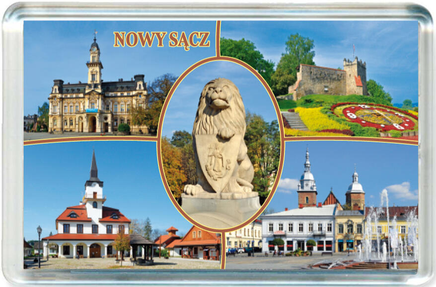 Magnes Nowy Sącz 0689